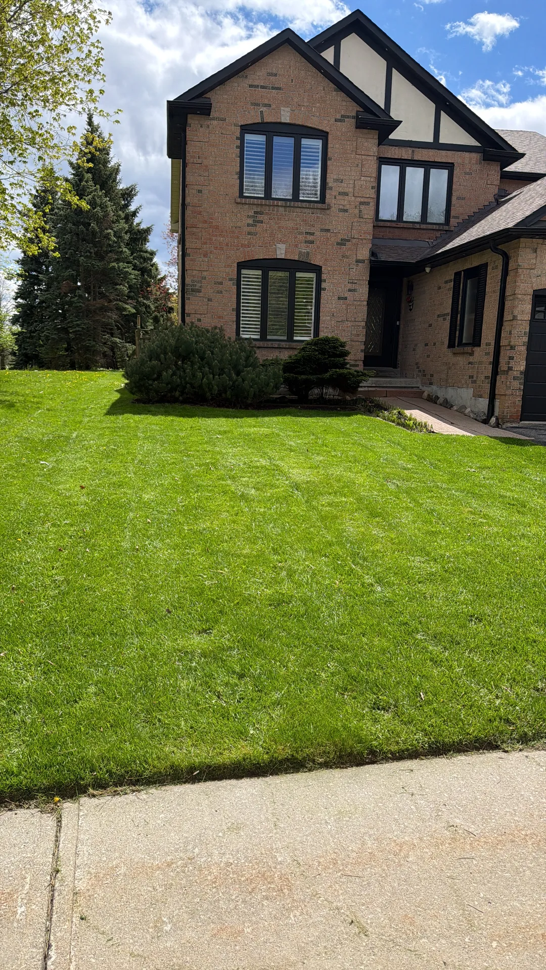 LandSpa landscaping project