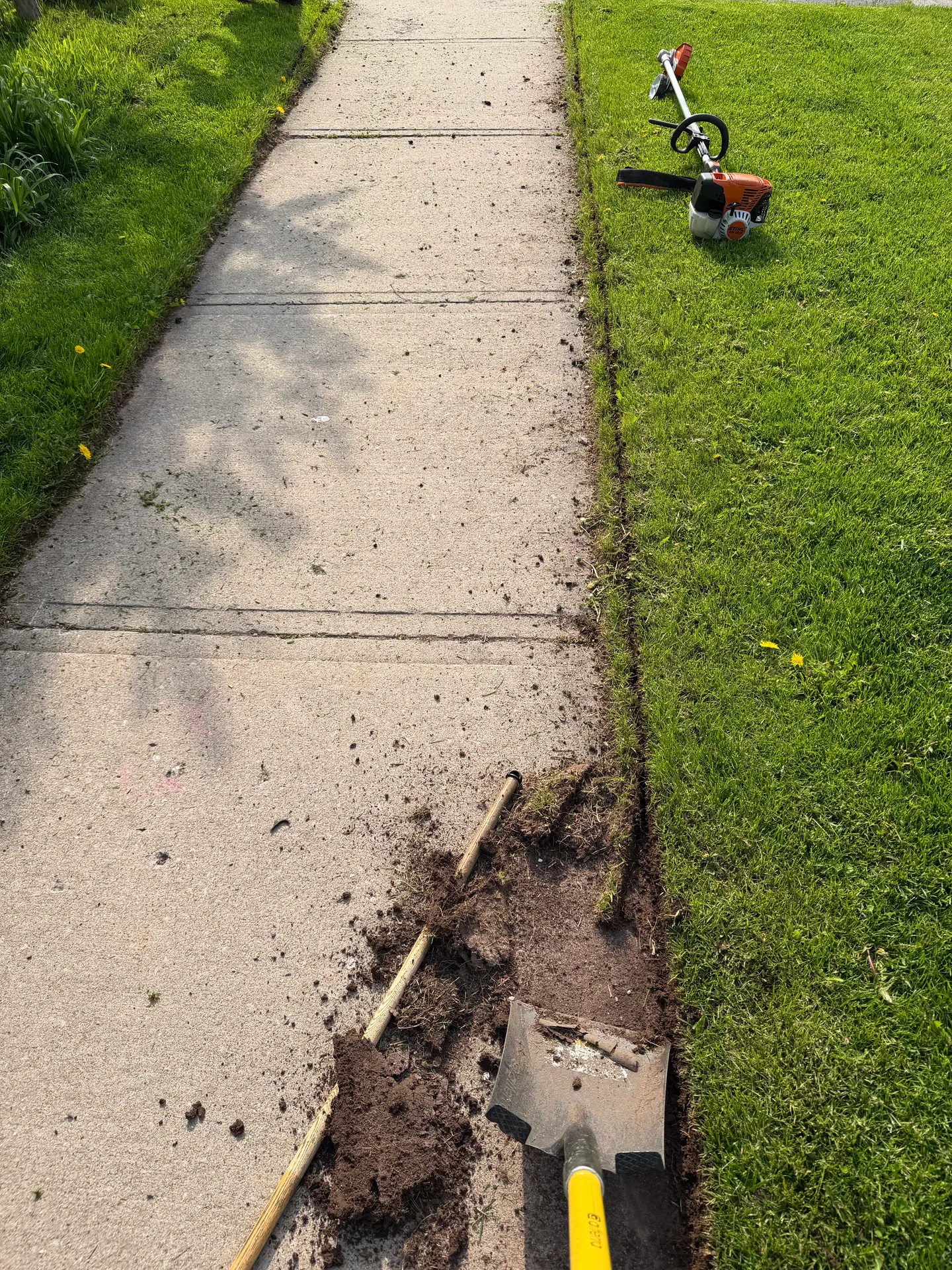 LandSpa landscaping project