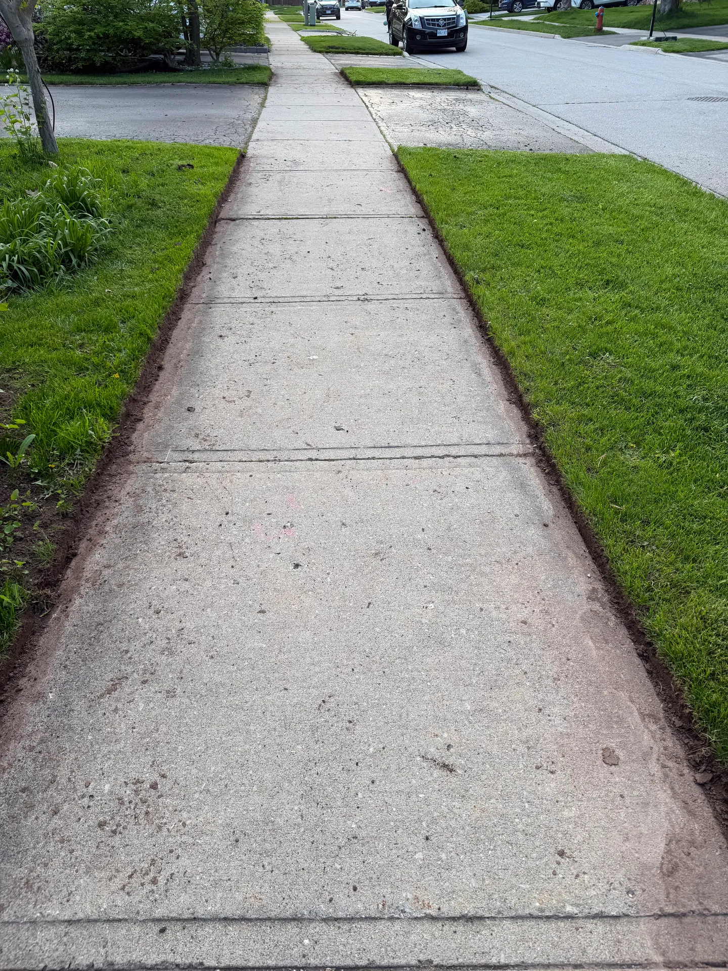LandSpa landscaping project