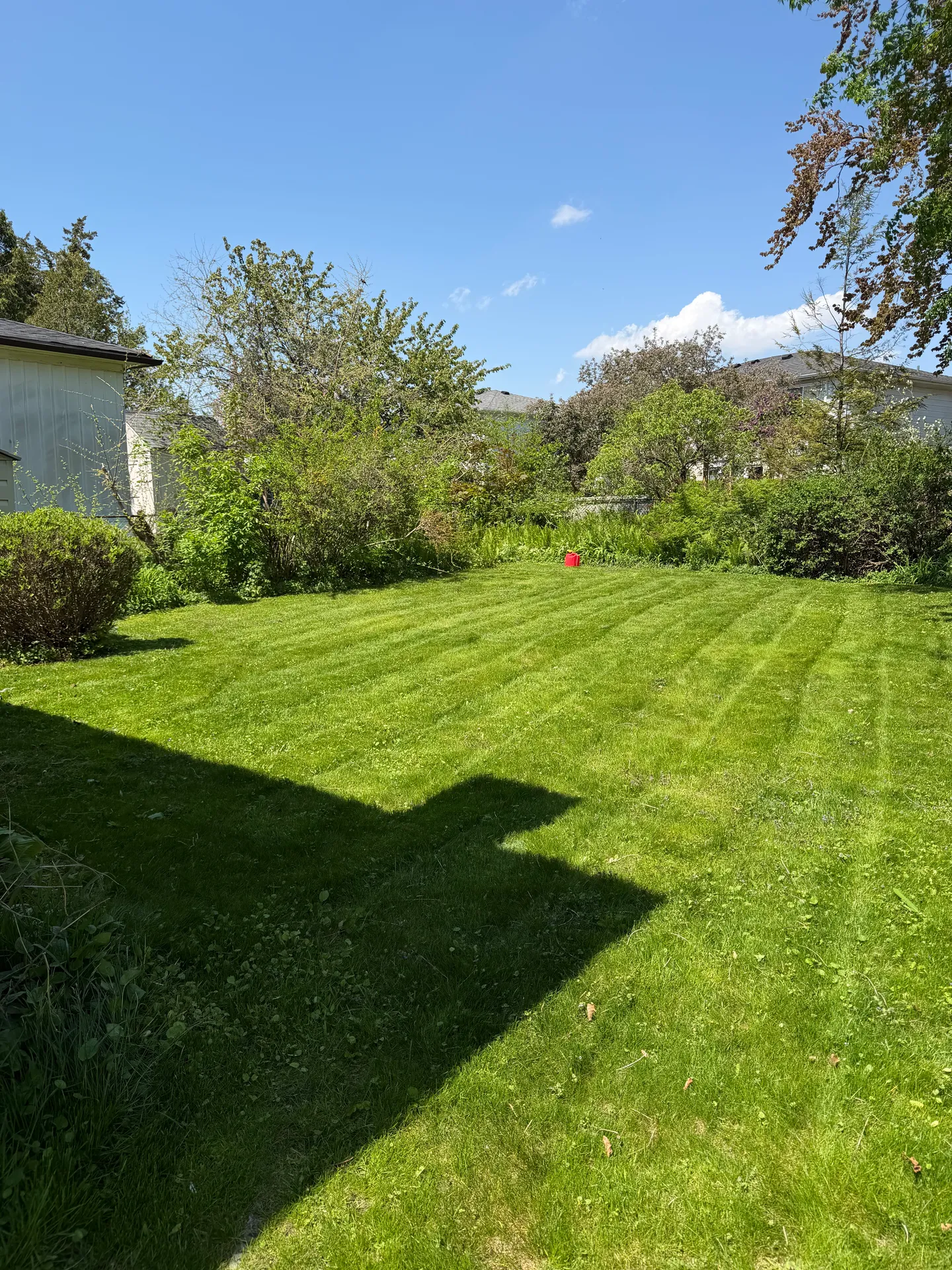 LandSpa landscaping project