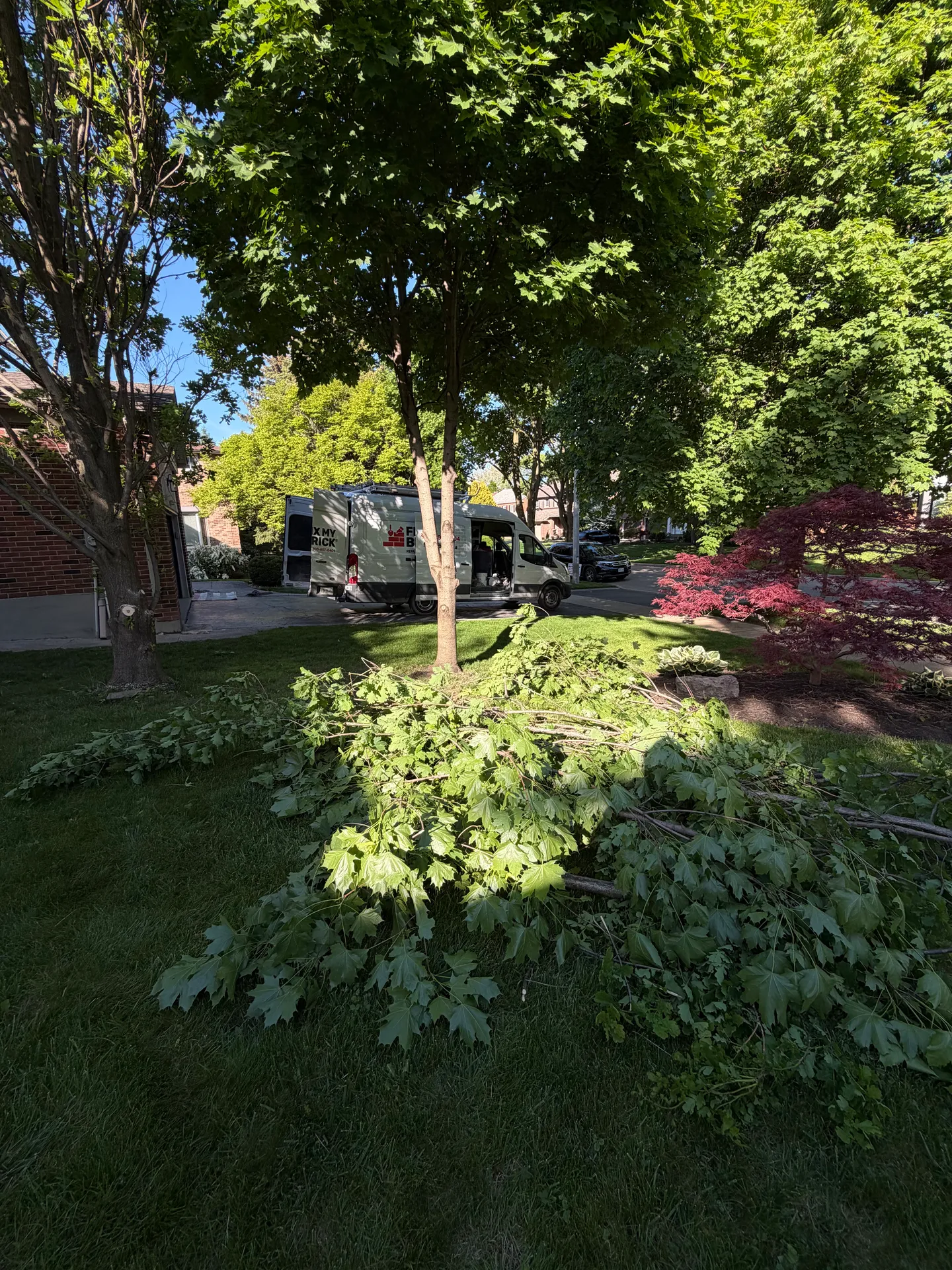 LandSpa landscaping project