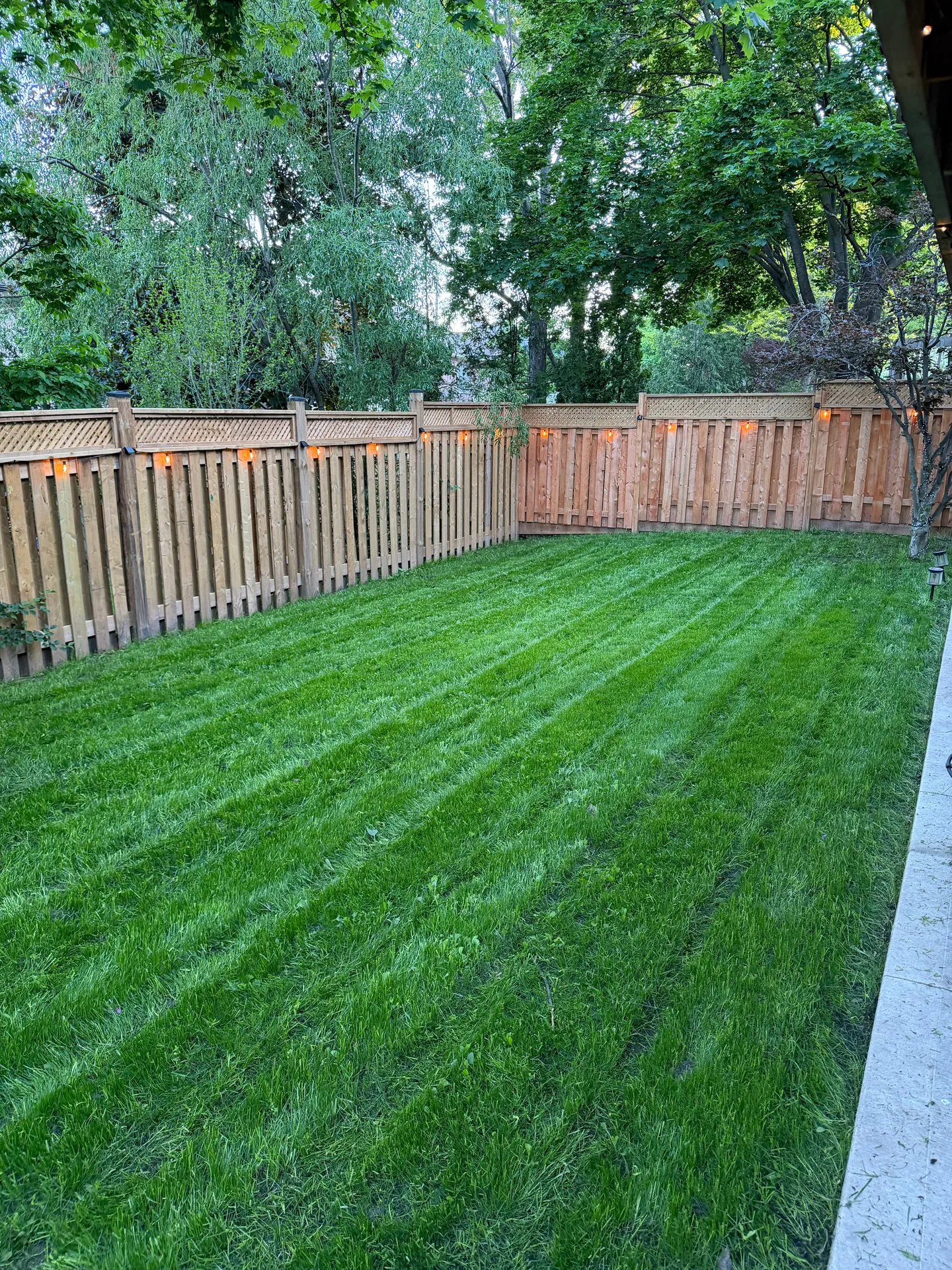LandSpa landscaping project