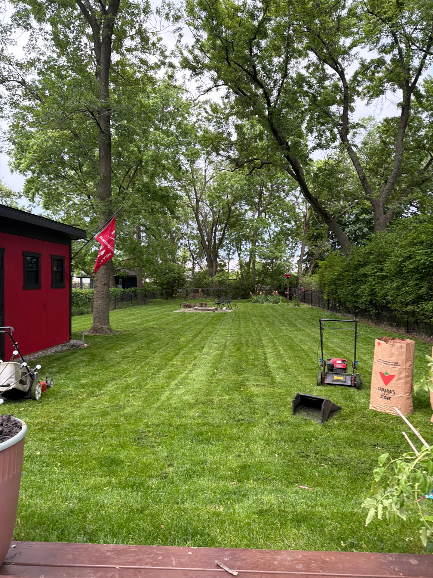 LandSpa landscaping project