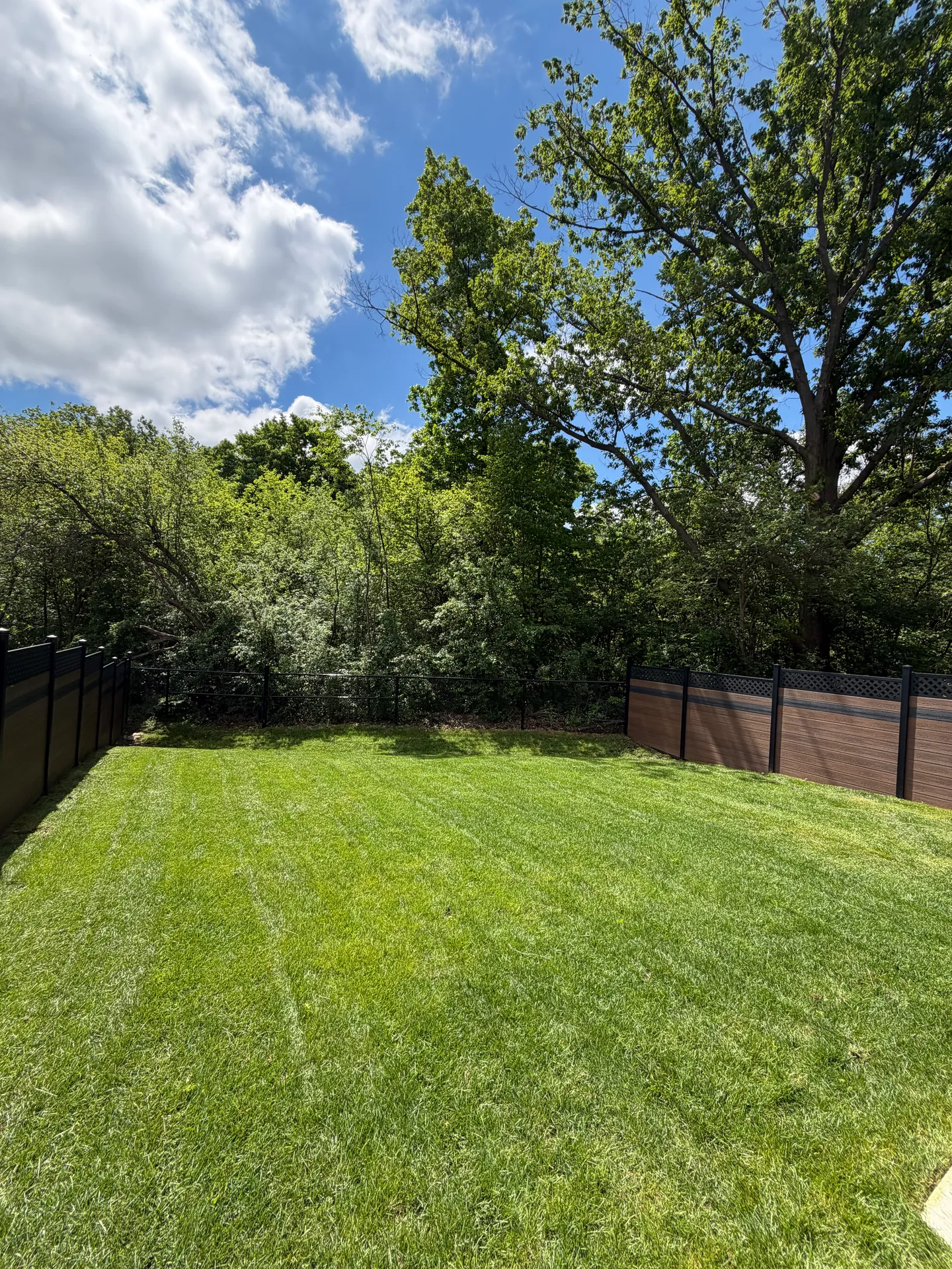 LandSpa landscaping project