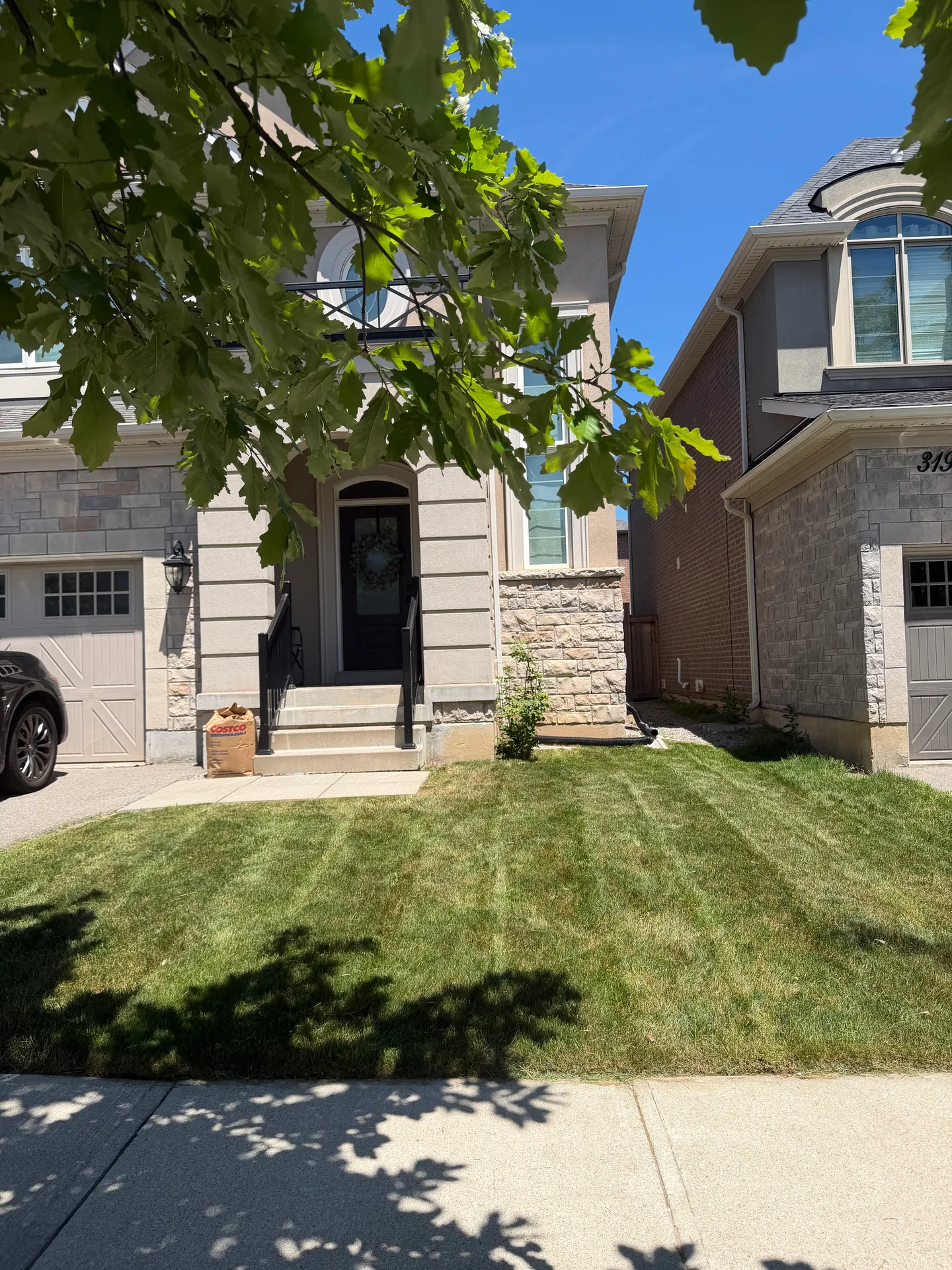LandSpa landscaping project