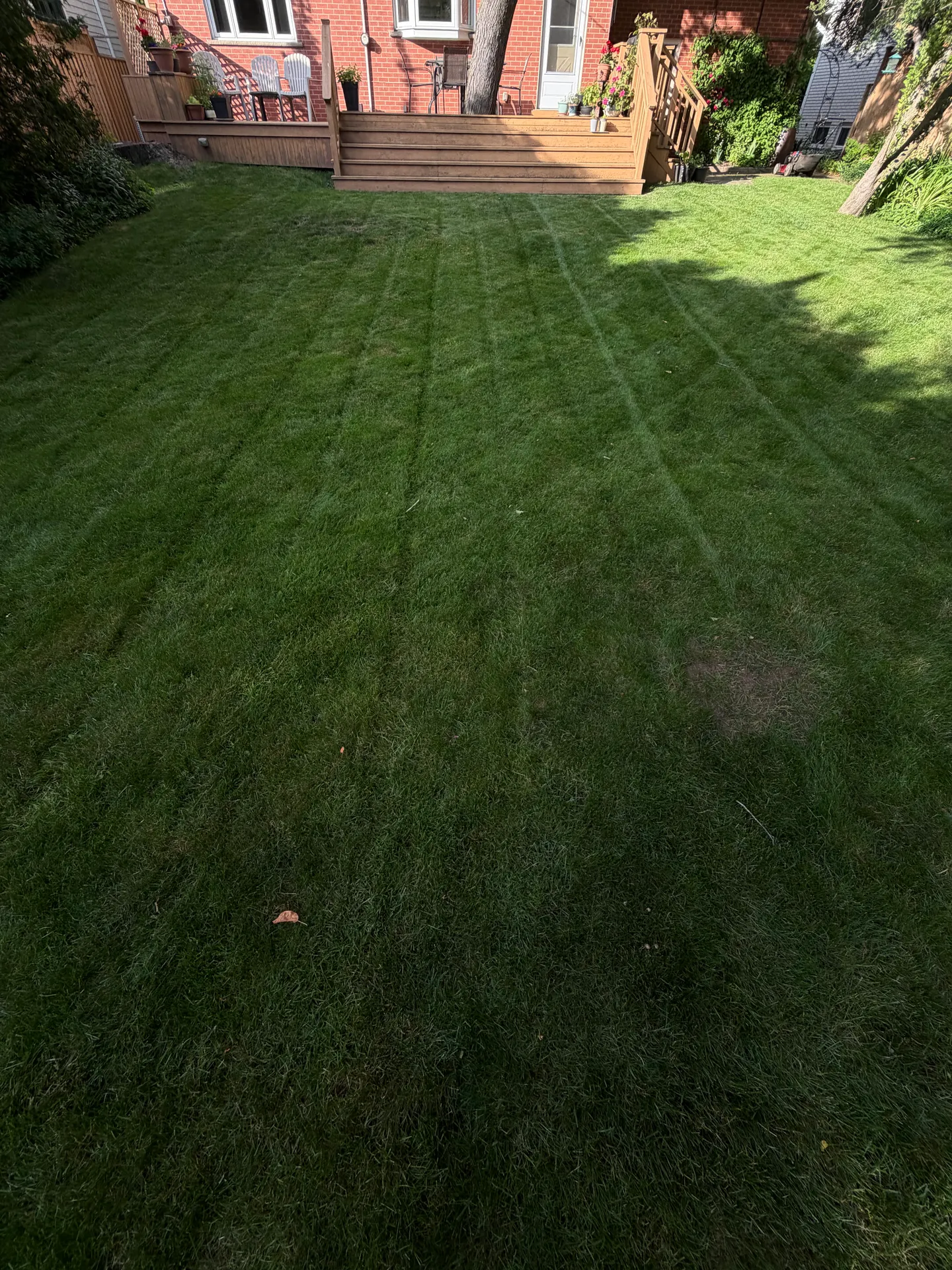 LandSpa landscaping project
