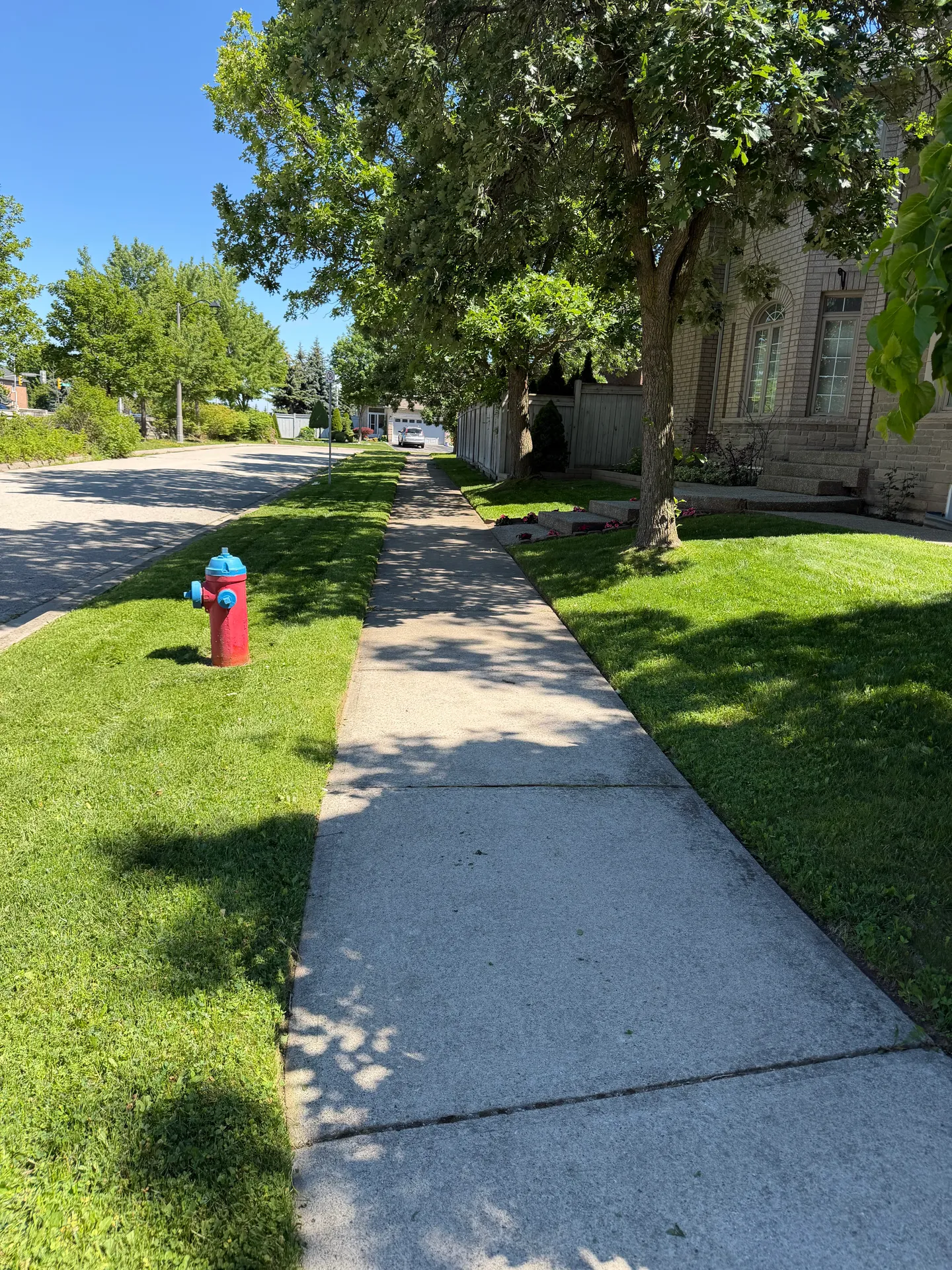LandSpa landscaping project