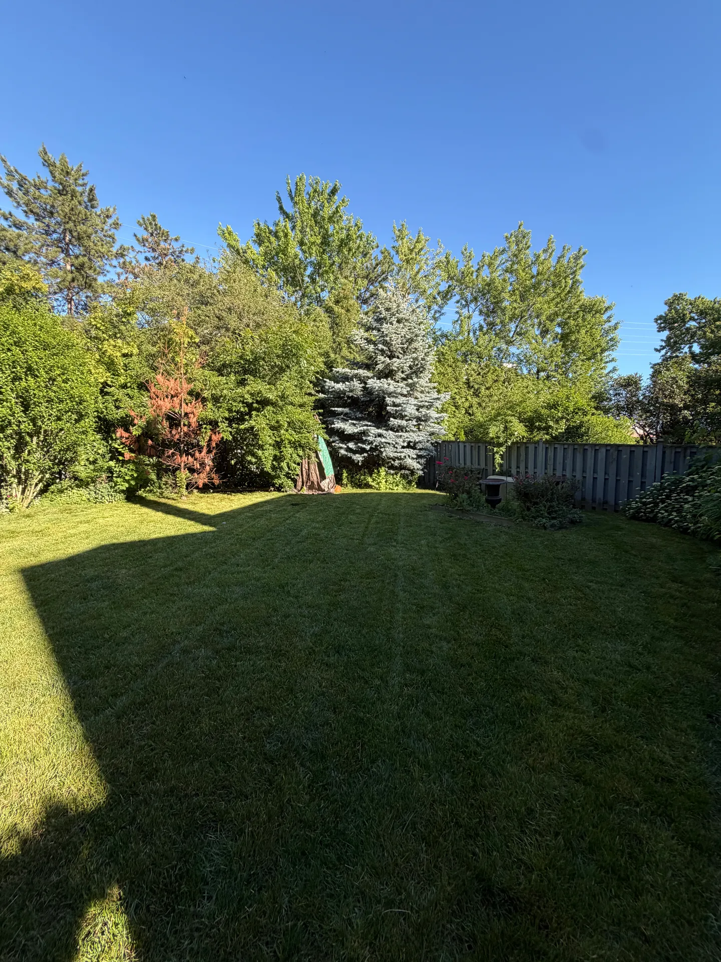 LandSpa landscaping project