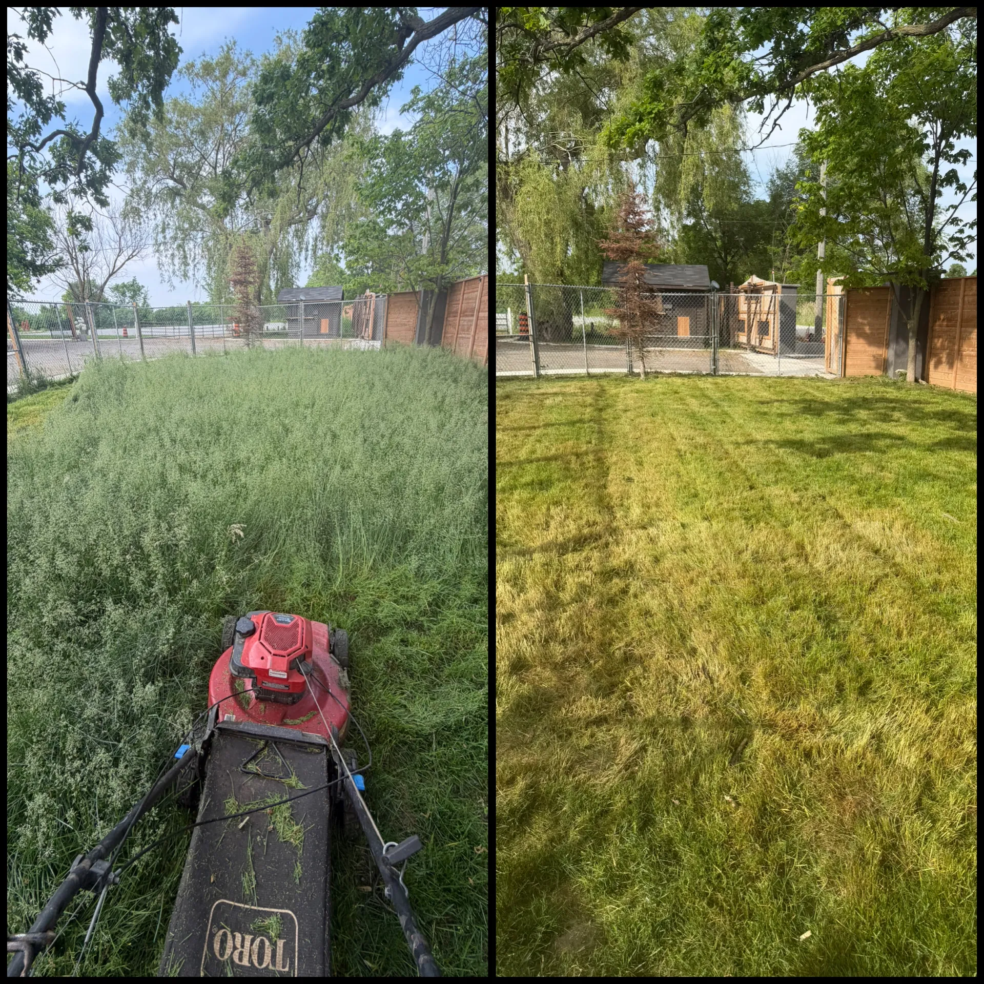 LandSpa landscaping project