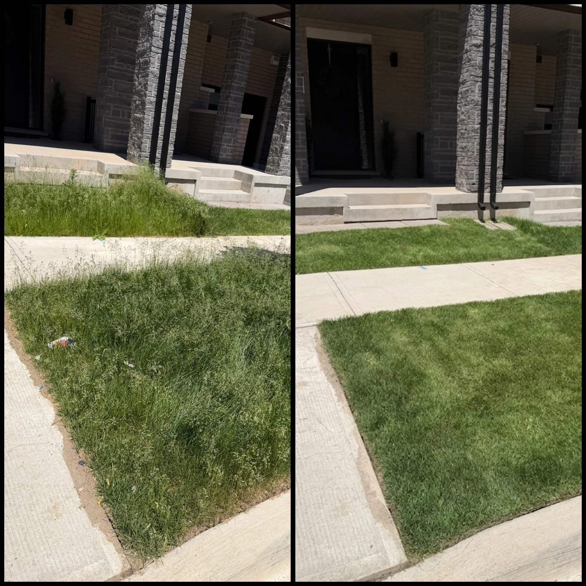 LandSpa landscaping project